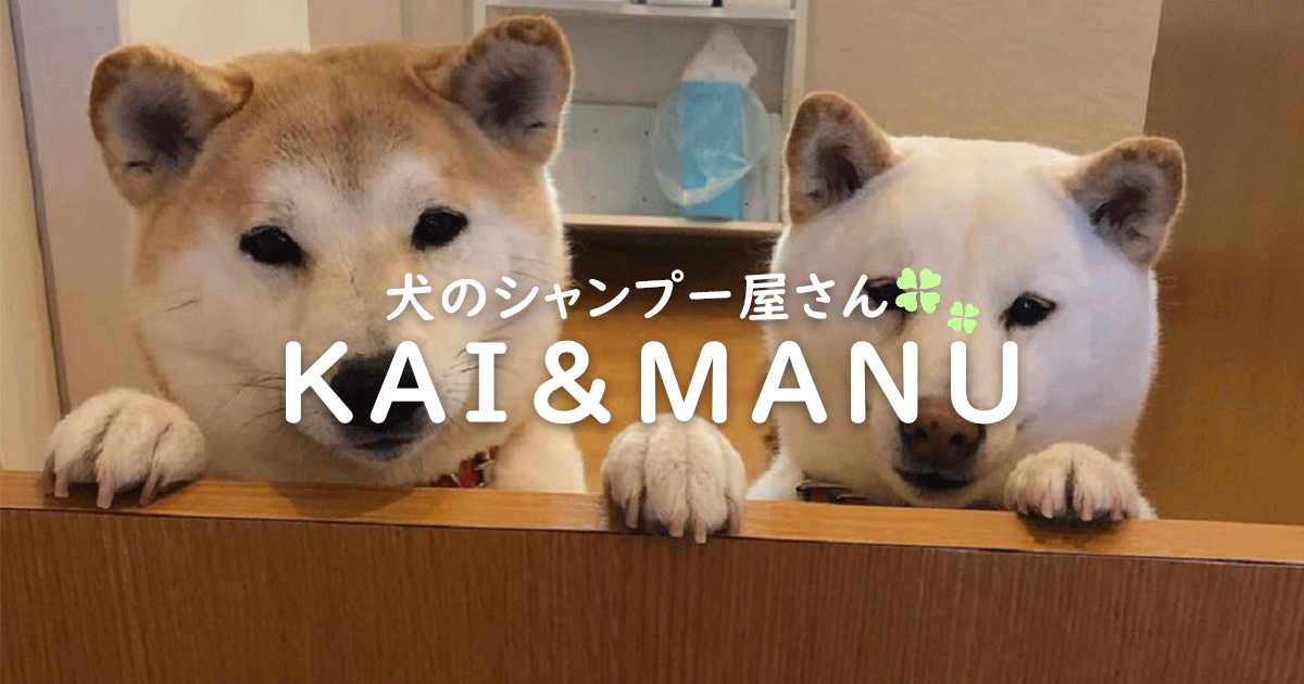 犬 の シャンプー 屋 さん kai 料金